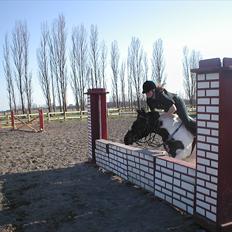 Anden særlig race Hermann