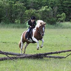 Anden særlig race Chilli Pepper