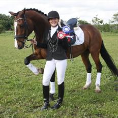 Dansk Varmblod Dominant