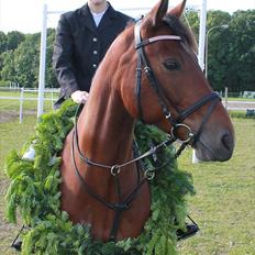 Connemara Hesselholts Rebel Queen