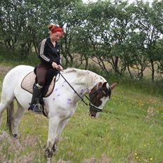 Pinto Aqudór the III