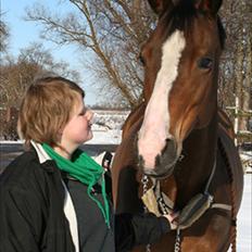 Dansk Varmblod Celina