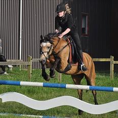 Anden særlig race Ofelia<3