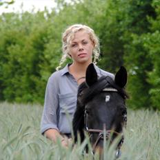 DSP Samara Spring pony