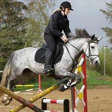 Anden særlig race Kenya