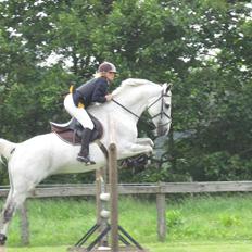 Anden særlig race Ricky