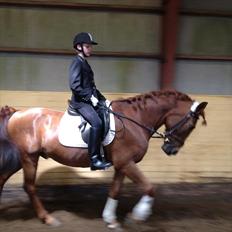 Anden særlig race kalula