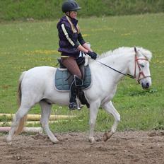 Anden særlig race Poppelhøjgårds ferrari - Futte 