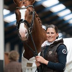 Dansk Varmblod Capa's Bon Jovi