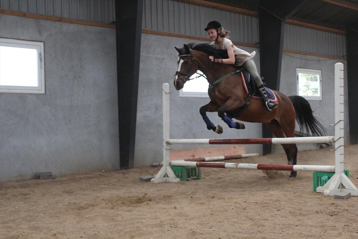 Anden særlig race Smilla - Foto: Line
På billedet: Smilla og Lin billede 9