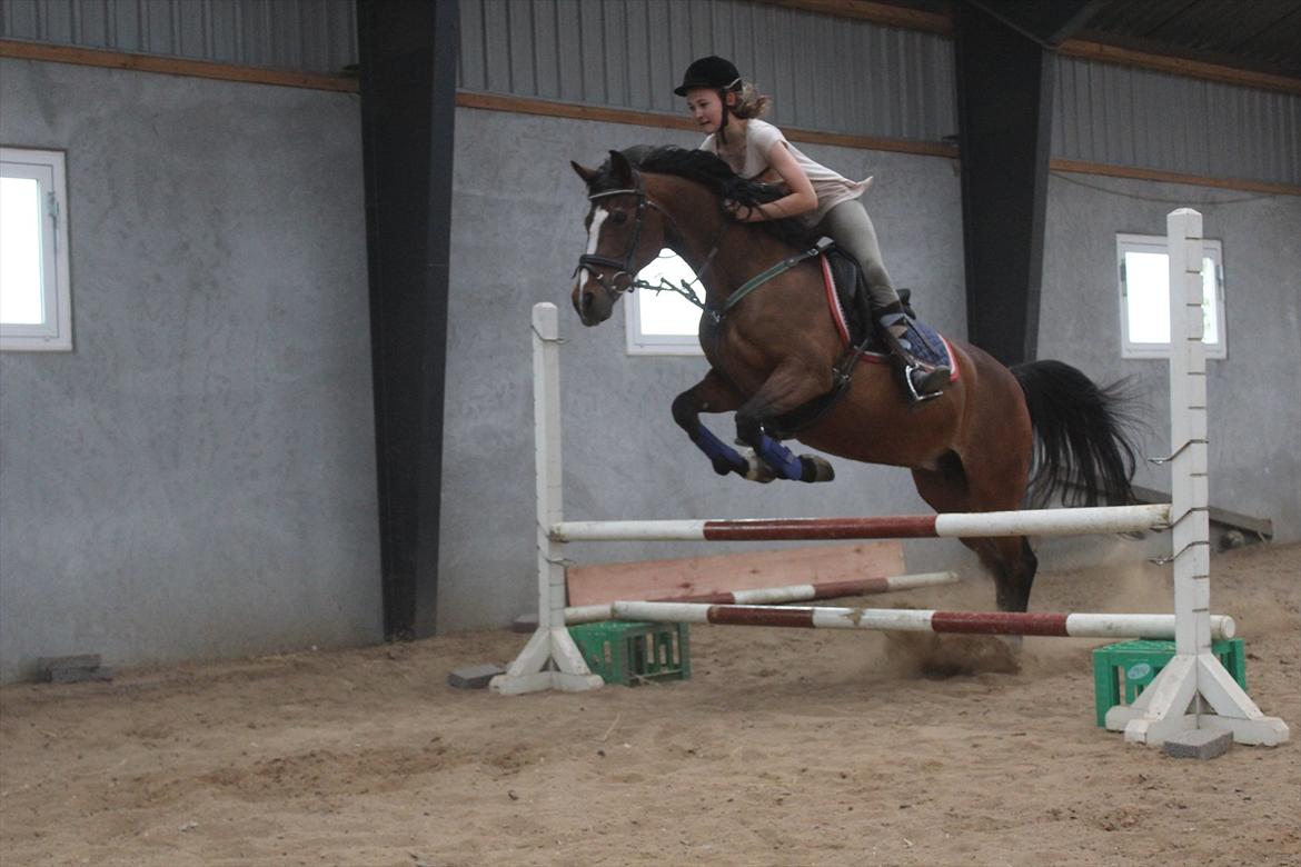 Anden særlig race Smilla - Foto: Line
På billedet: Smilla og Lin  billede 10