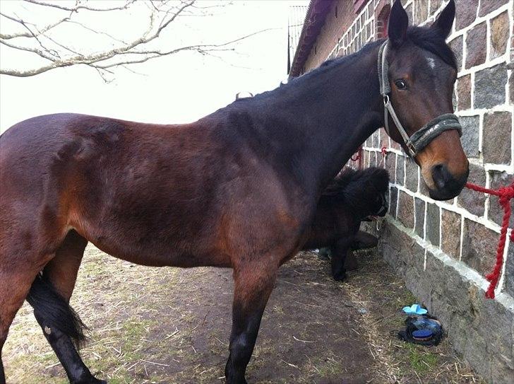 Traver Pia H S (Becca) - Nutti!<3 billede 11