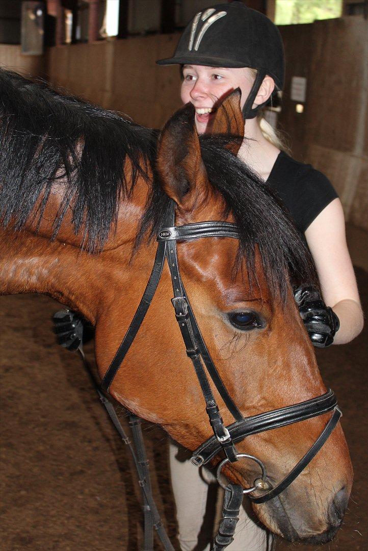 Oldenborg Zephyr af østerdovergaard billede 20