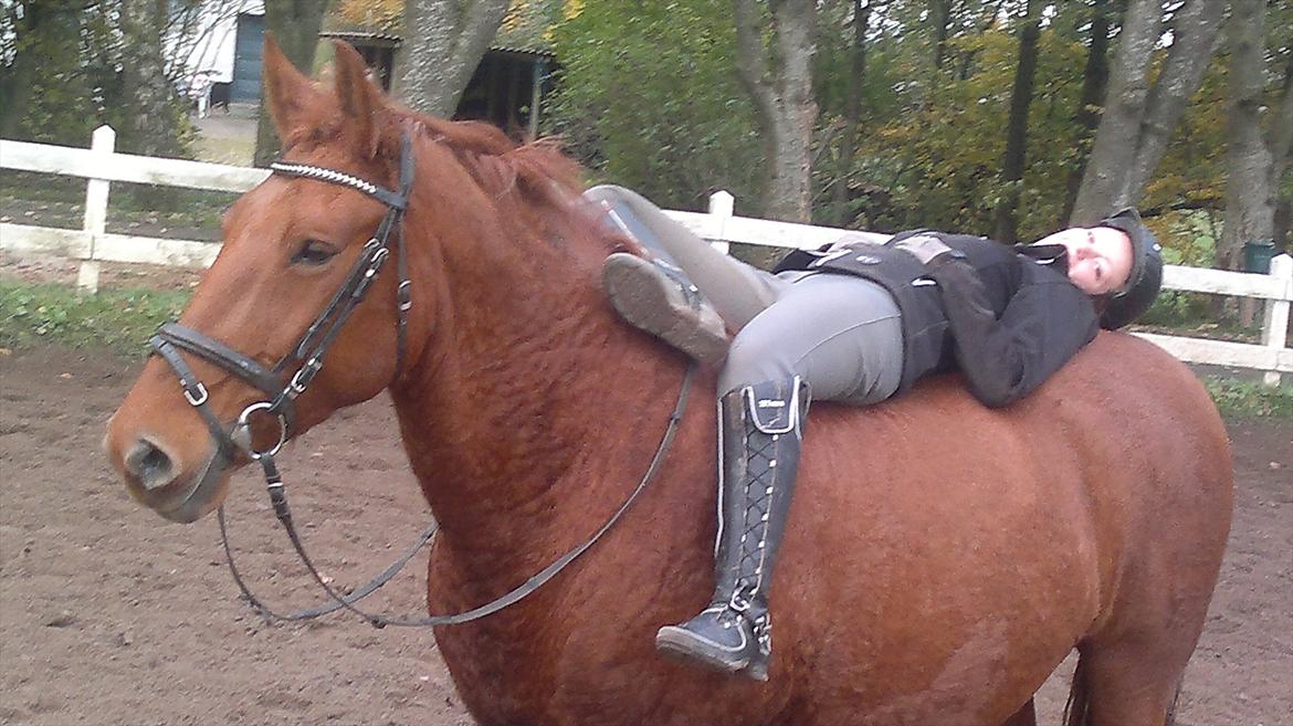 Oldenborg Bråskovgårds Sorella  - så tar vi lige en slapper :) billede 5