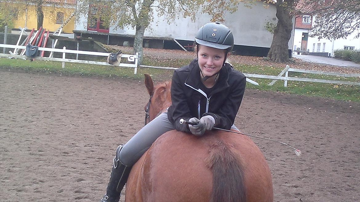 Oldenborg Bråskovgårds Sorella  - dejligt med en så bred hest :) billede 6