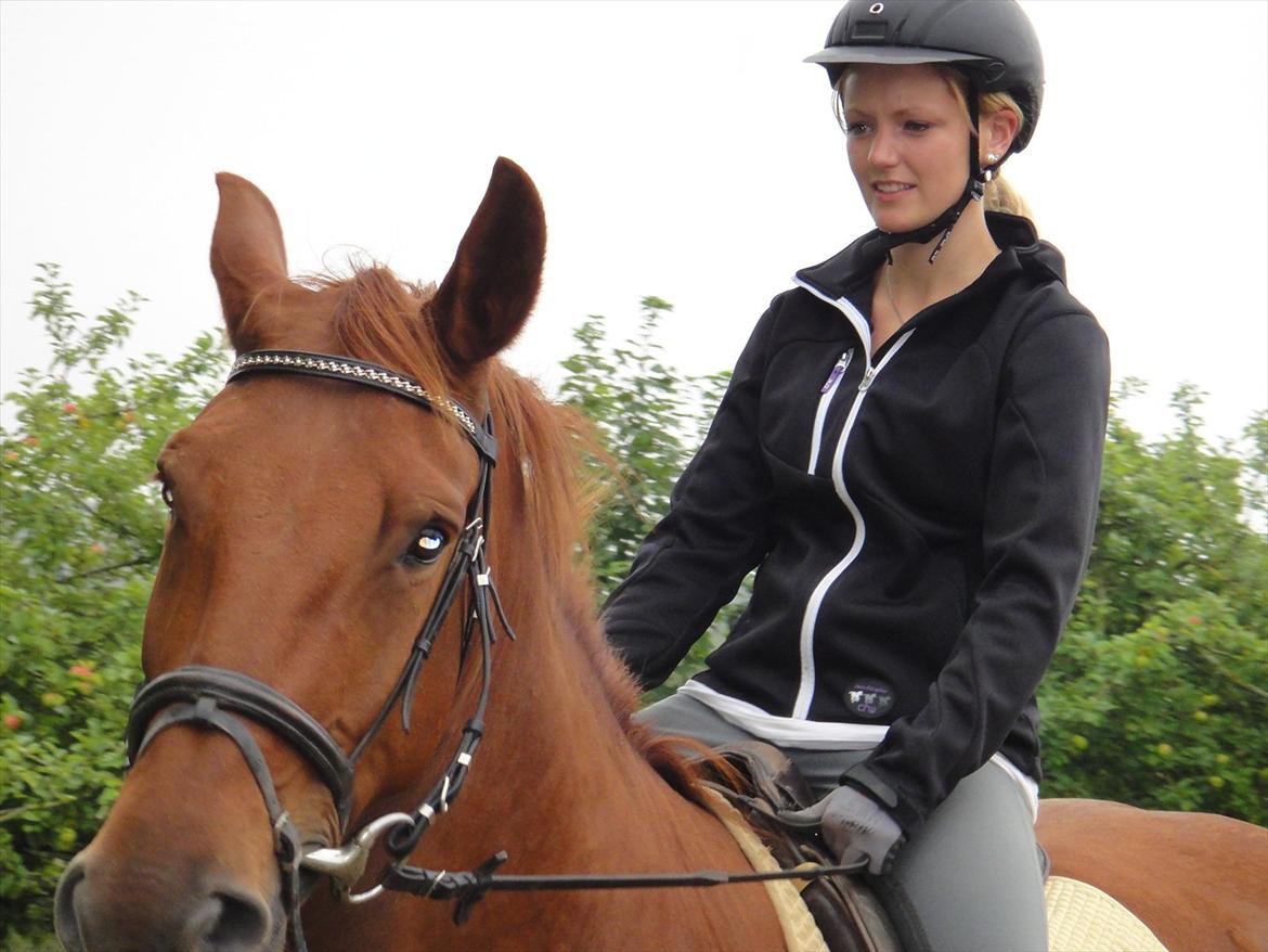 Oldenborg Bråskovgårds Sorella  billede 9