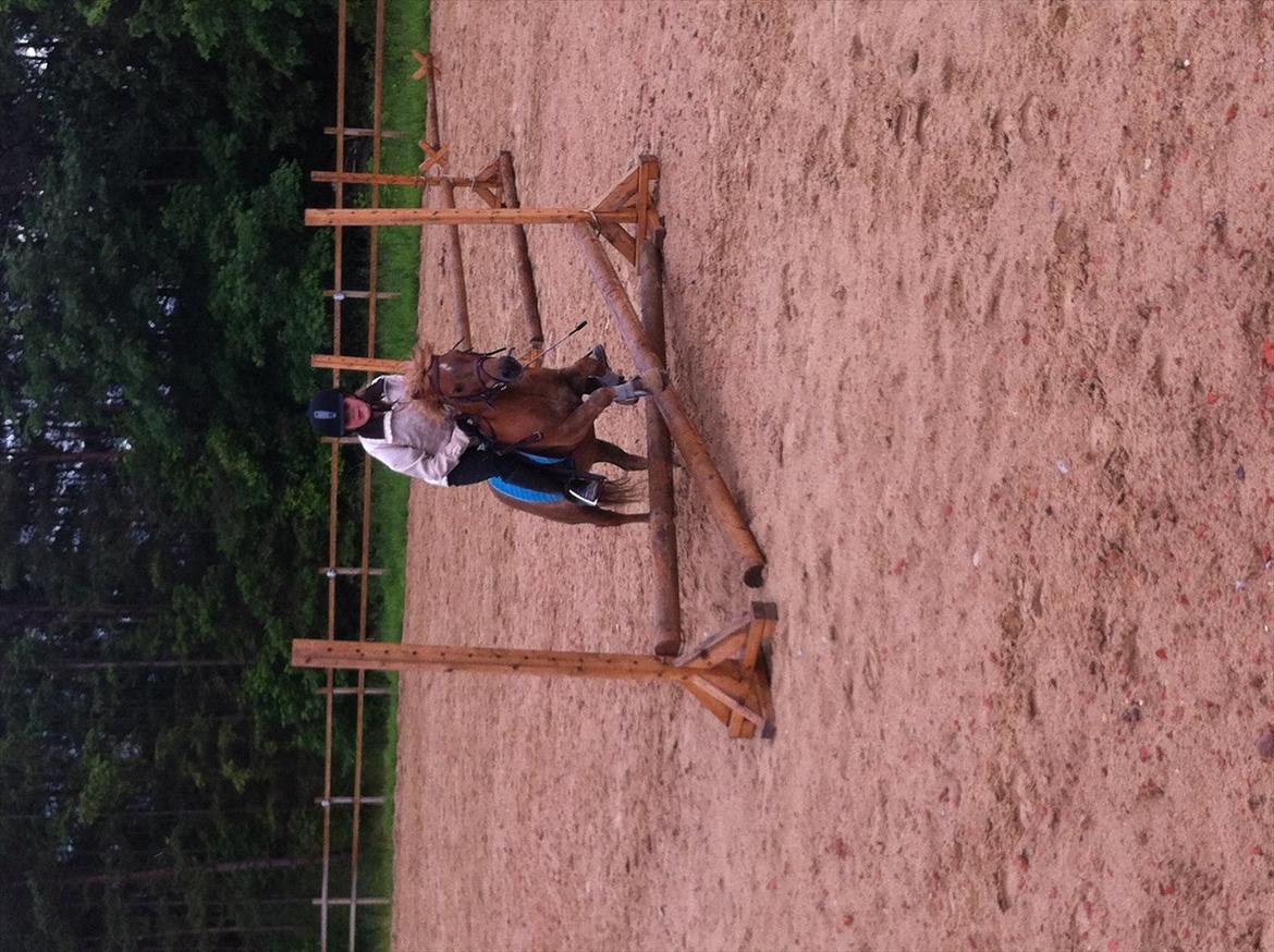 Shetlænder Emil!<33 - Vi springer:) billede 18