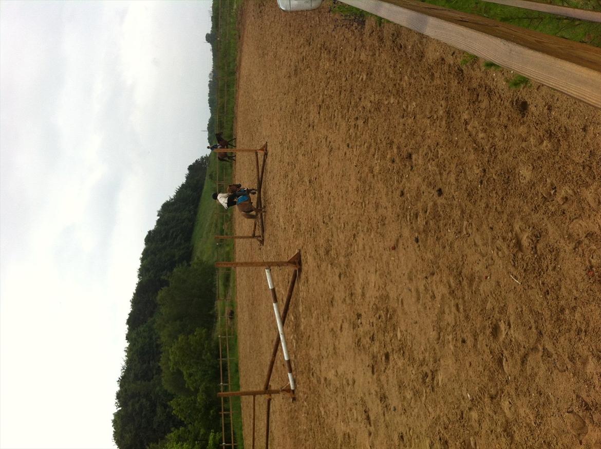 Shetlænder Emil!<33 - Vi springer Igen Love You!<3 billede 19