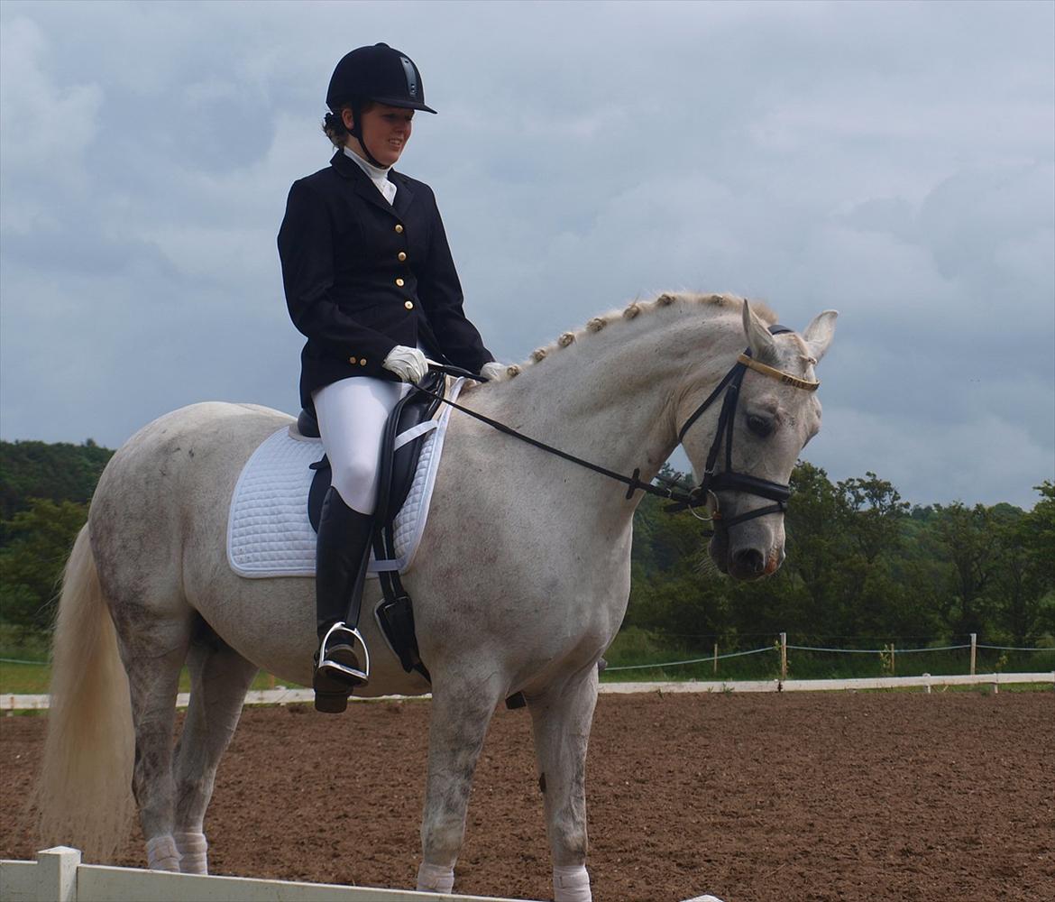 DSP Nørlunds Sally Maree - 17/6-første stævne! billede 14