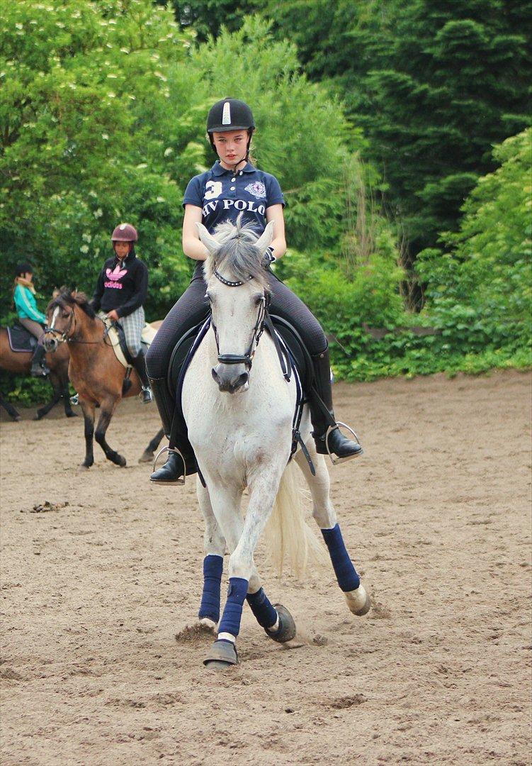 Hollandsk Sportspony LOOK AT ME - Træning Juni 2012 :)
 billede 7