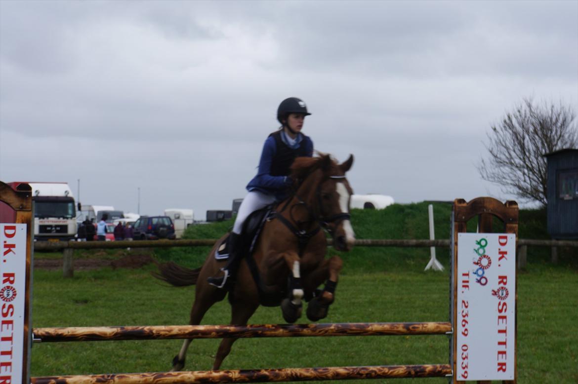 Anden særlig race Pax - Vi er to, men flyver som en! billede 12