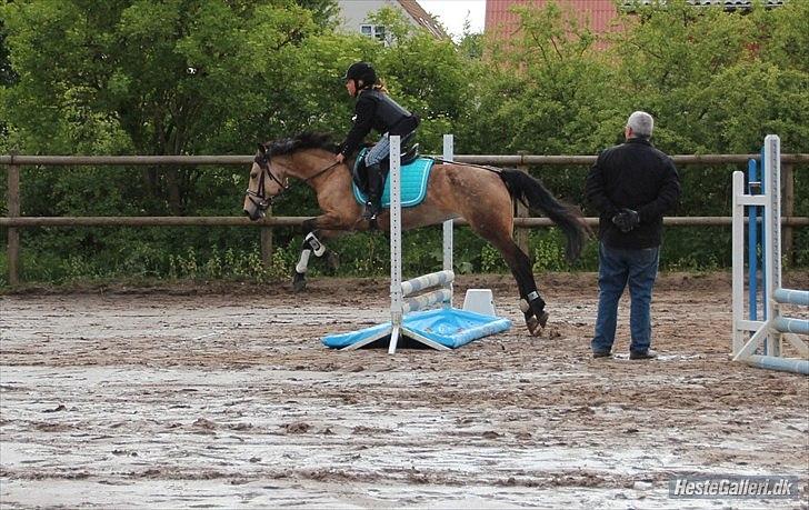 Anden særlig race Digelsgaardens Ginger(My little Girl)<3 <3 - Hehe andet stævne sammen!!:P billede 5