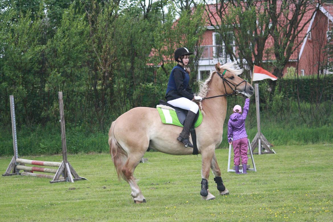 Anden særlig race Valentino <3 *Tino* | My Soulmate|<3 - Lille lort, inden han stejlede :P billede 18