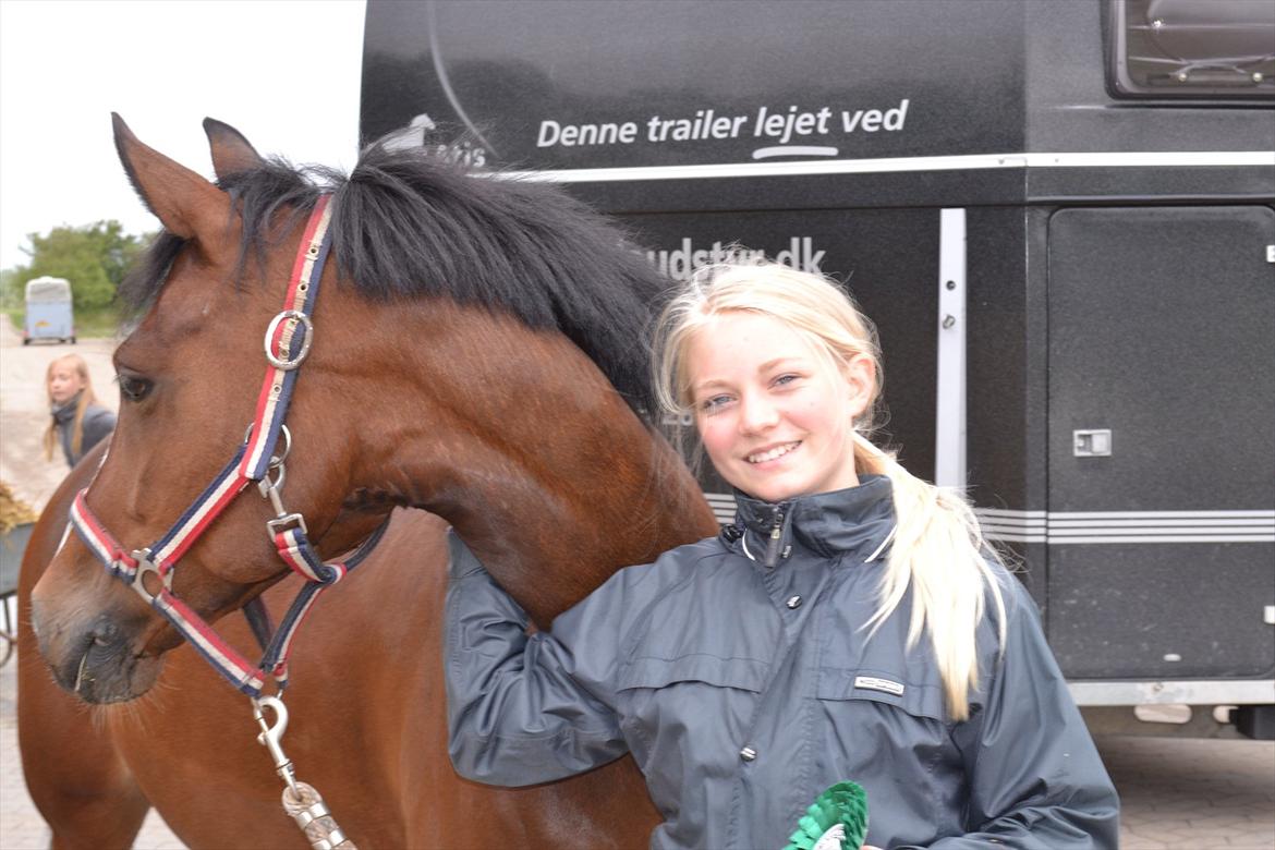 Hollandsk Sportspony Uptown Girl - Lige hjemvendt fra et dejligt stævne :-)<3! billede 20