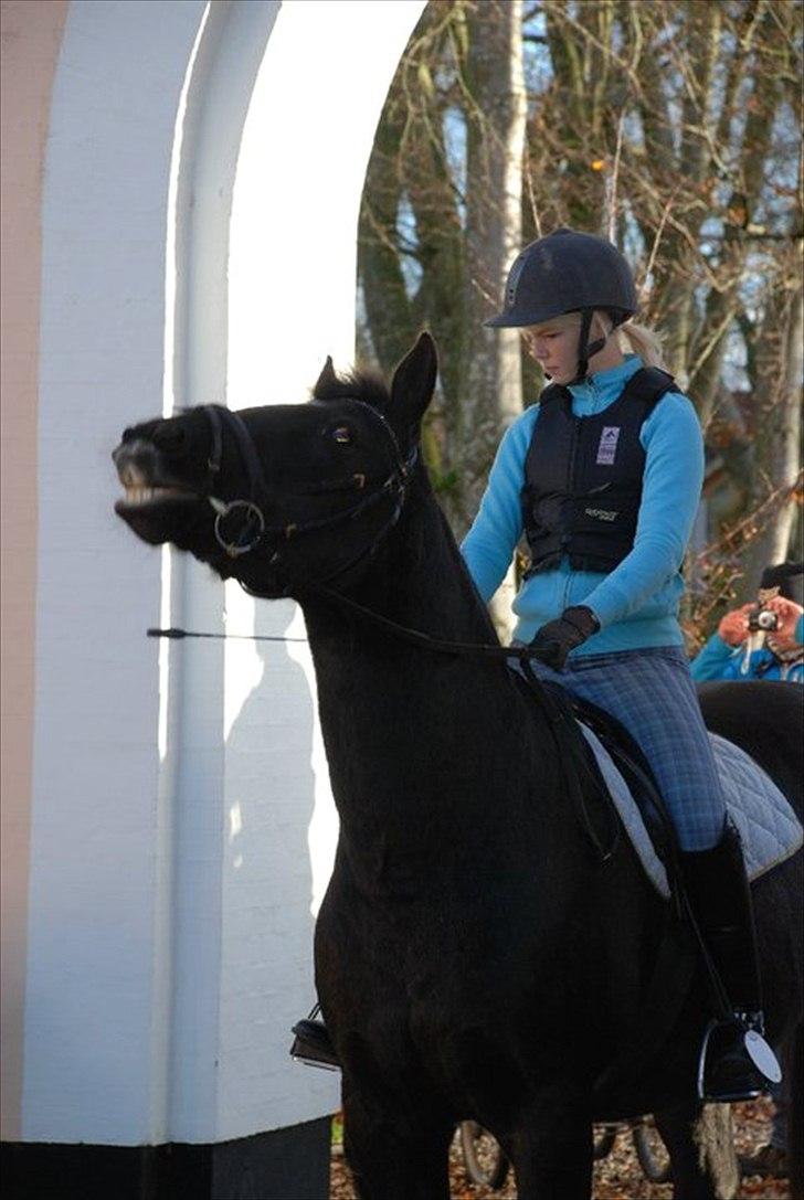 Oldenborg Donna billede 16