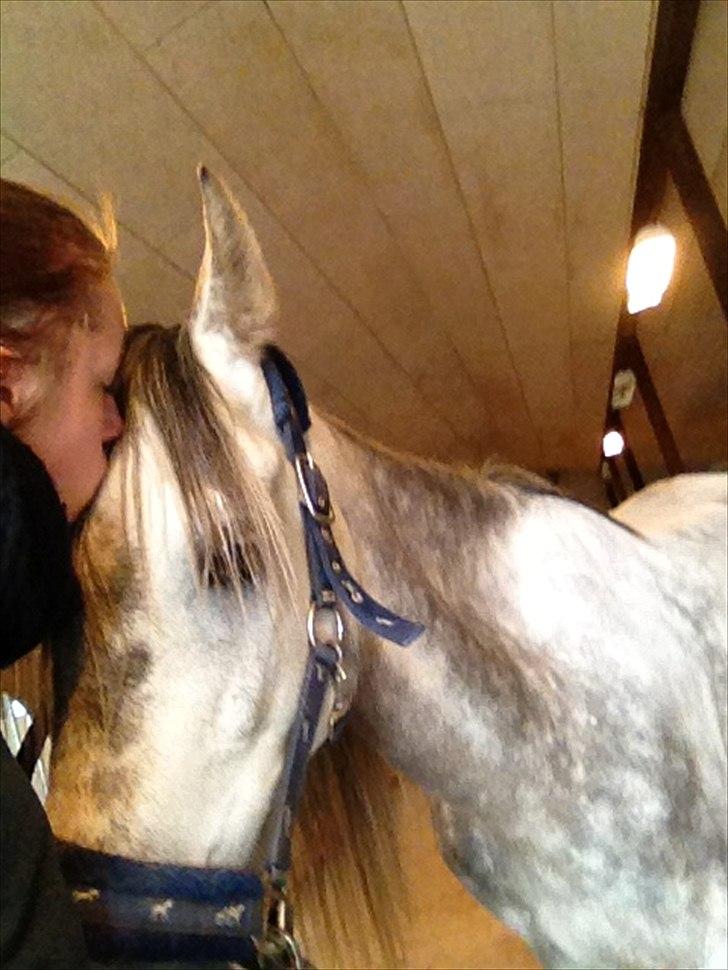 Sportsaraber (A) Makong The King R.I.P billede 20