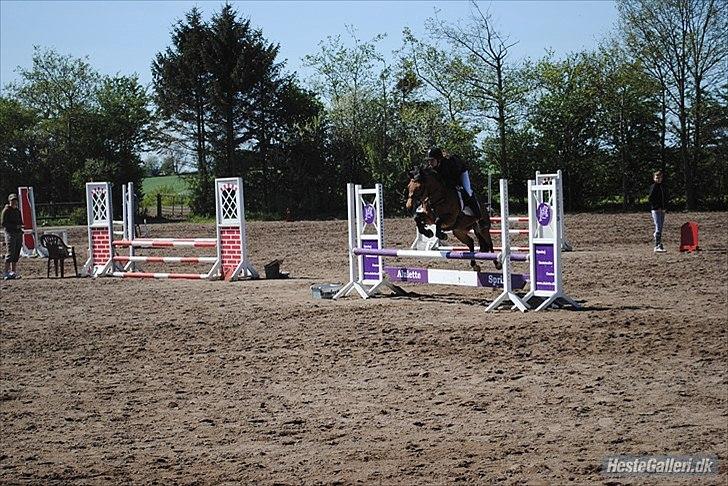 New Forest Flintegårdens Modesty<3 *soglt* - Emily og maddy der springer billede 5