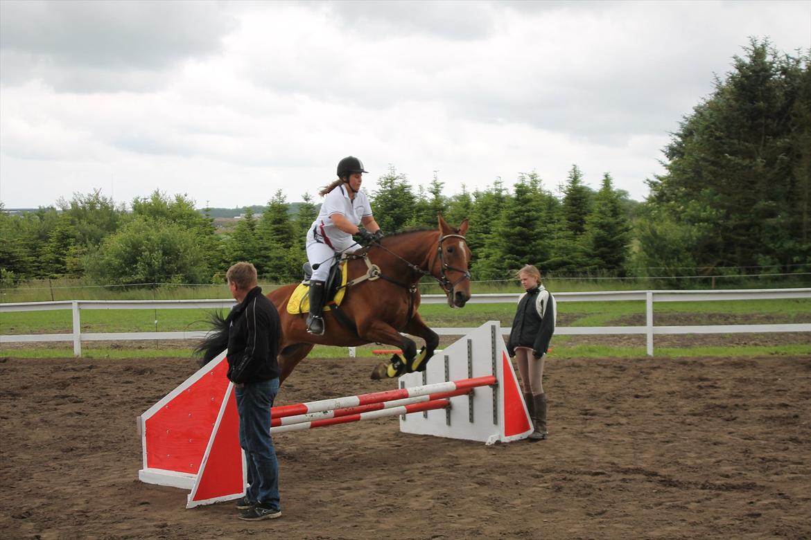 Anden særlig race Sunny -min solstråle<3 - stævne sunny <3 billede 16