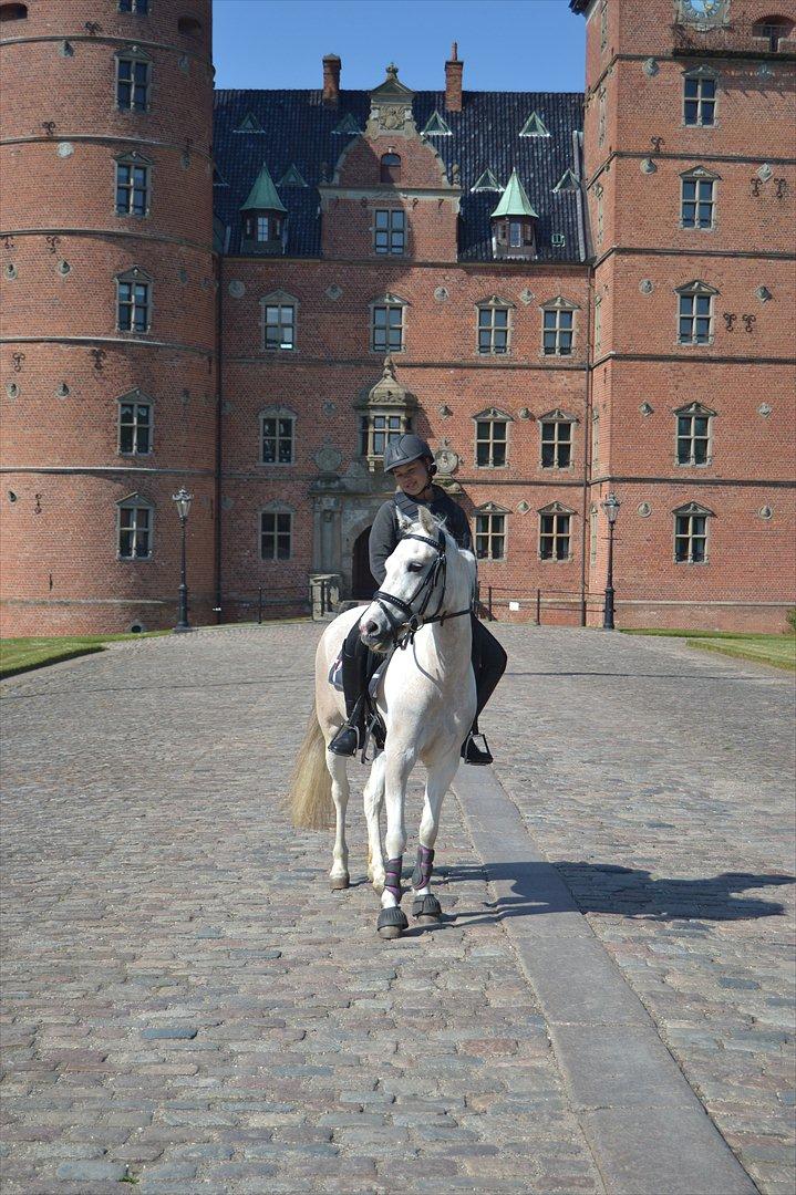 Anden særlig race Lundsbjergårds Karla - Mig og Karla nede på Vallø Slot ♥
 billede 7