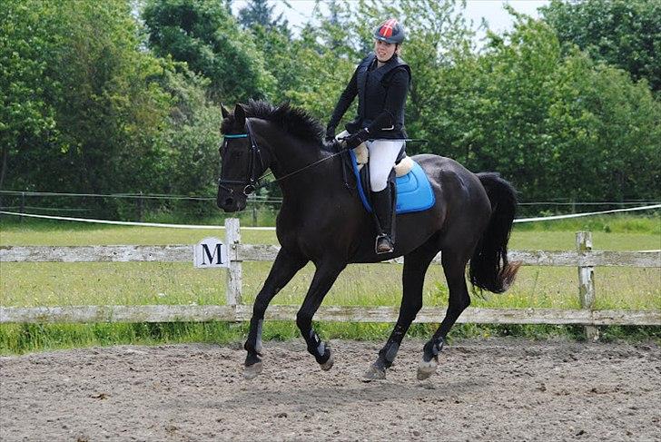 Anden særlig race Lucky - Part R.I.P billede 11