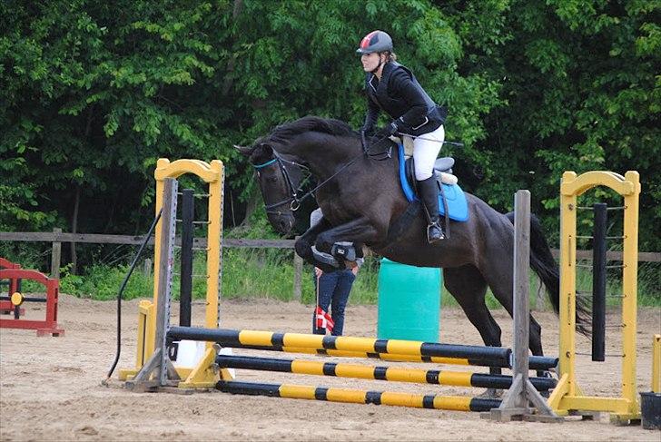 Anden særlig race Lucky - Part R.I.P billede 12