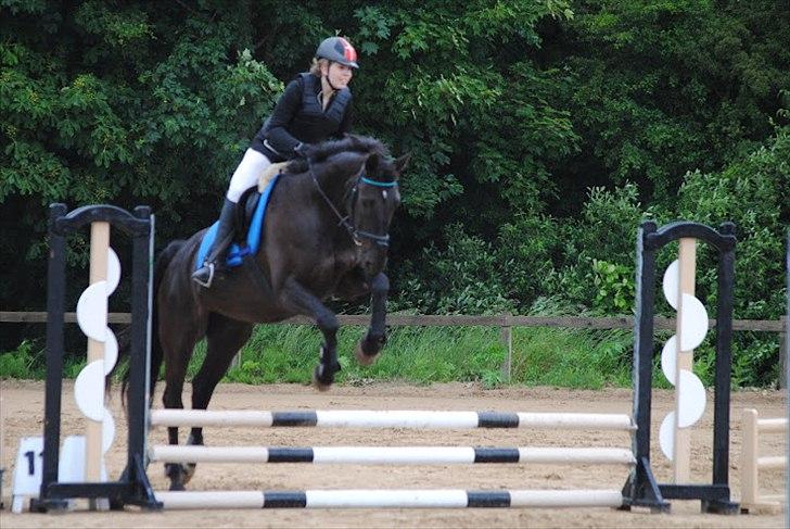 Anden særlig race Lucky - Part R.I.P billede 13