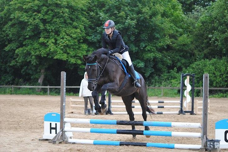 Anden særlig race Lucky - Part R.I.P billede 14