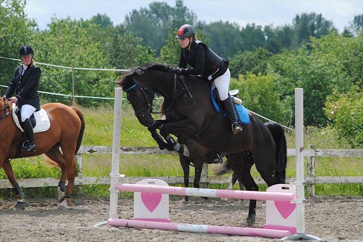 Anden særlig race Lucky - Part R.I.P billede 16