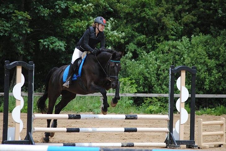 Anden særlig race Lucky - Part R.I.P billede 17