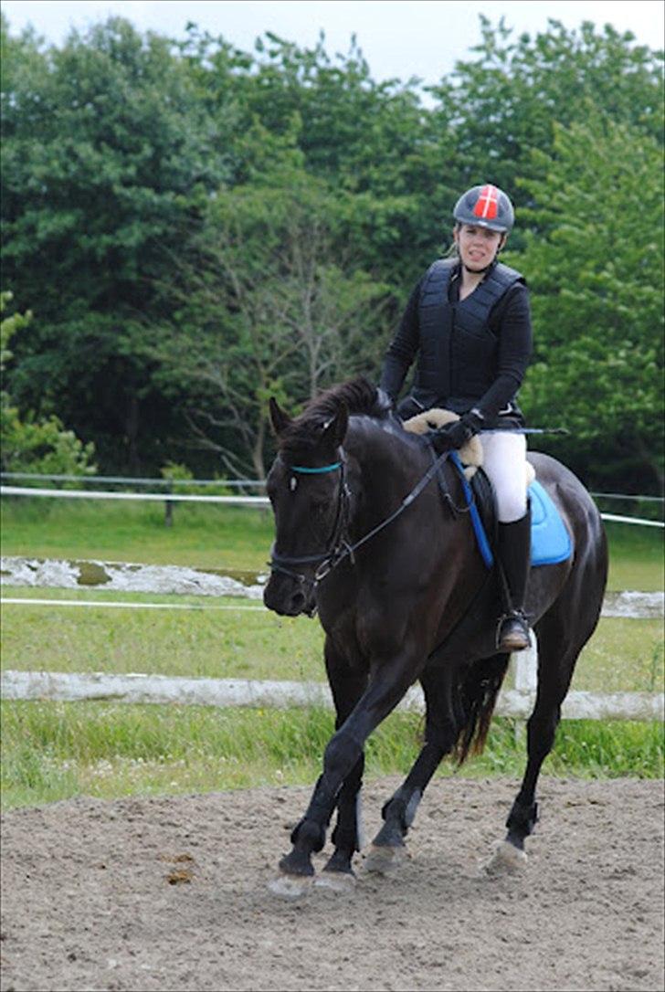 Anden særlig race Lucky - Part R.I.P billede 18