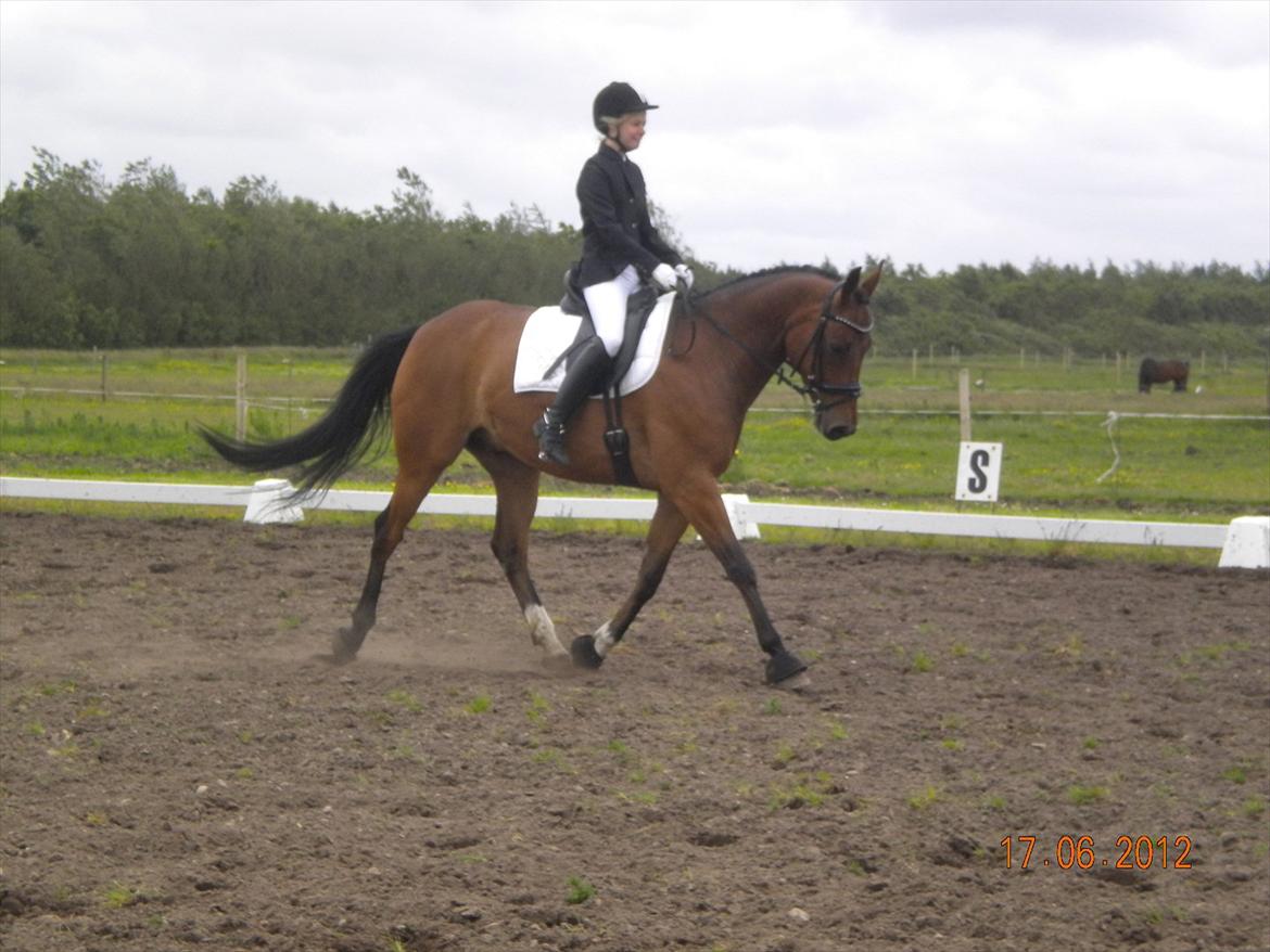 Pinto Krastrup's Impulz - La2 i BLAAK 2012. 61% billede 19