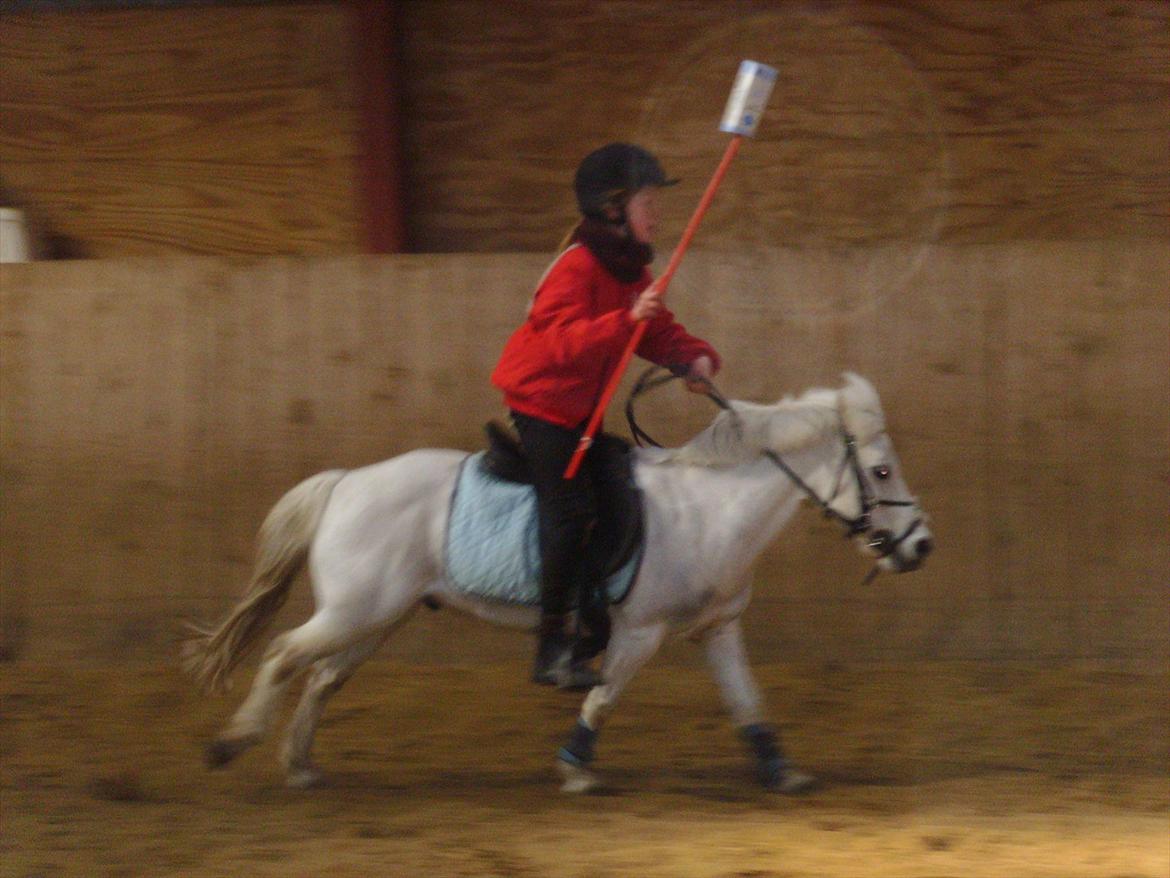 Anden særlig race Kasper billede 10