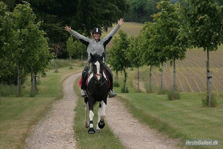 Pinto Jessey - Louise og Jessey!
Skønne piger <3 billede 12