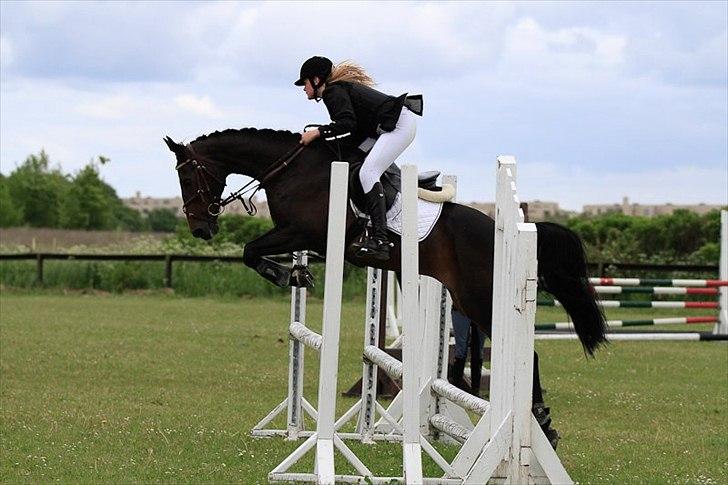 Dansk Varmblod Egges Vendetta - Stævne på Værløse d.5 juni :-) billede 1