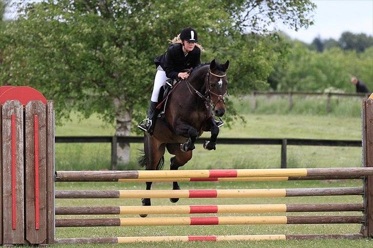 Dansk Varmblod Egges Vendetta - Stævne på Værløse d.5 juni :-) billede 7