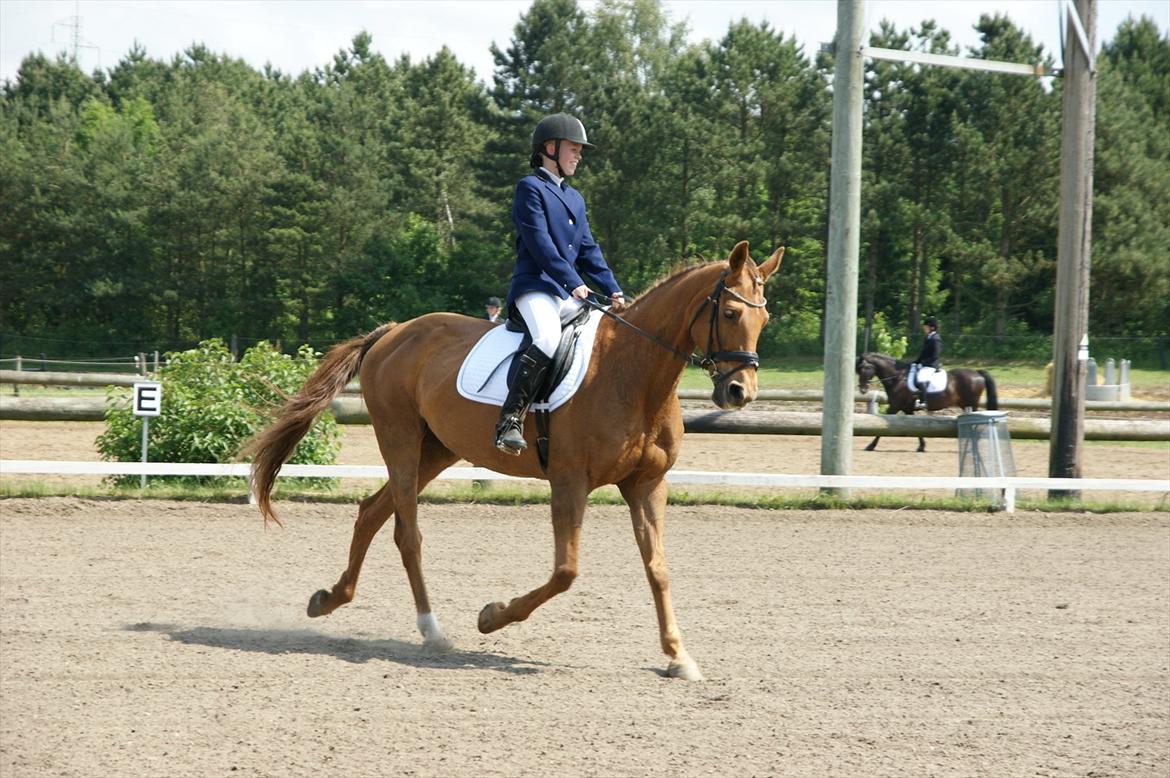 Anden særlig race Lærke - Lc2 d. 16/6-12
"Taberne er dem der giver op - vinderne er dem der bliver ved med at tabe!" Selvom vi ikke vinder vil du altid være nr 1 for mig <3 billede 13