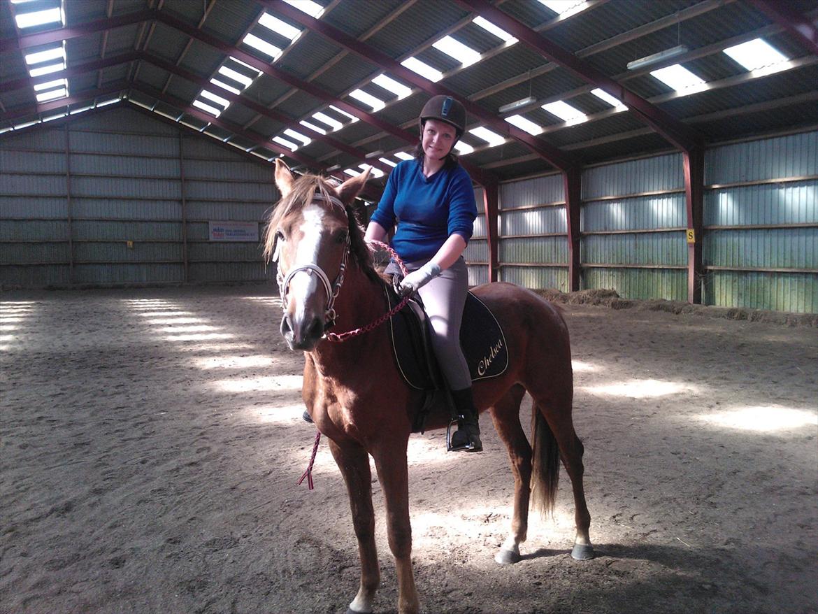 Anden særlig race Thor - 2. gang med rytter og ingen nykker :-) billede 14