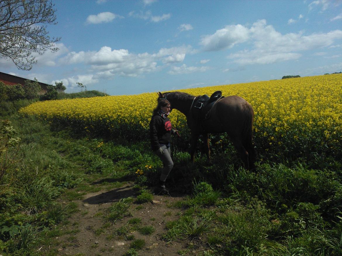 Anden særlig race Thor billede 15