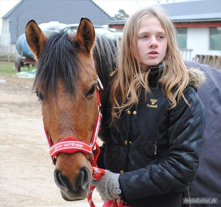 Anden særlig race Berta-Louise - Berta og hendes nye rytter<3 billede 9