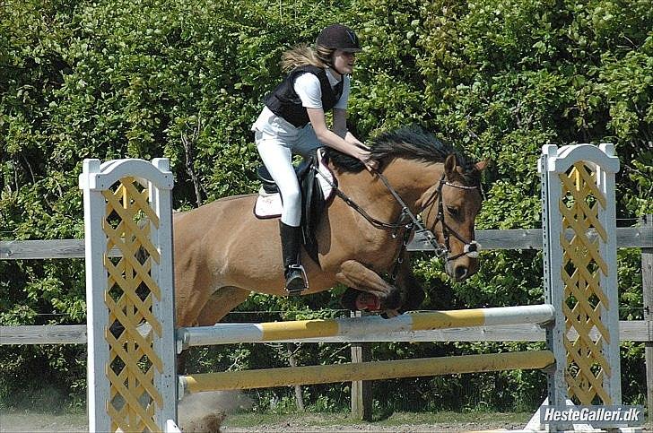 Anden særlig race Berta-Louise - Berta og hendes nye rytter<3 billede 10